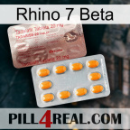 Rhino 7 Beta new13